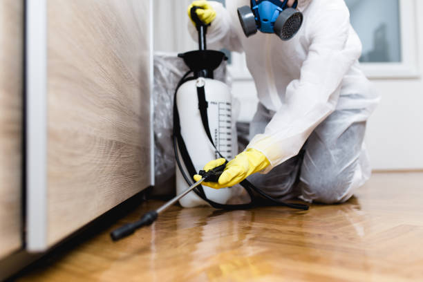 Best Ant Control Services  in Ponder, TX