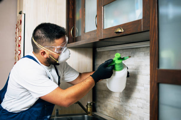 Trusted Ponder, TX Pest Control Experts
