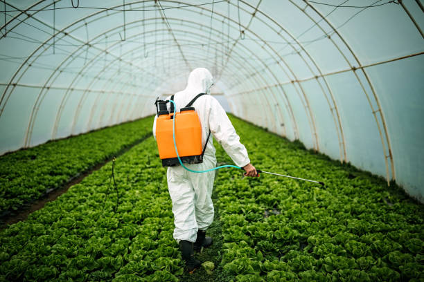 Pest Control for Restaurants in Ponder, TX