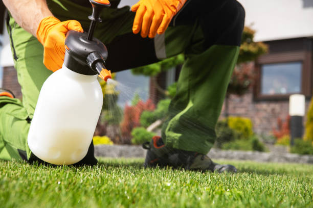 Best Pest Control for Businesses  in Ponder, TX